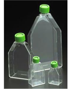 Flask, 250ml, Tissue Culture, 75sq.cm, Vent Cap, C