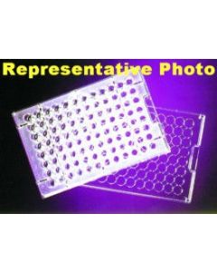 Microtitration Plate, 96 Well, U-bottom