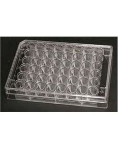 Plate 48  Well Treatedandsterile Culture Flat Ind