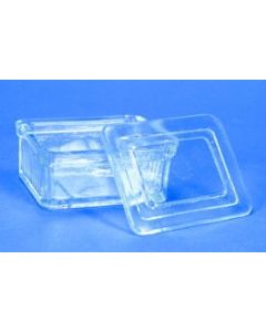 Rectangular Staining Dish, Heavy Glass, For Up To