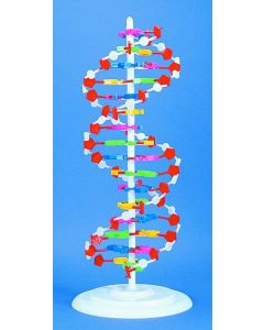 Advanced Dna Kit W/blue And White Molecules