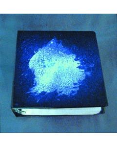 Luminol Demonstration Kit W/instructions