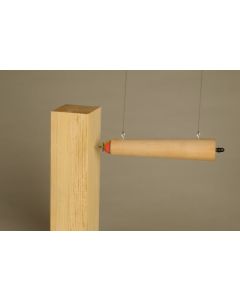Bouncing Dart