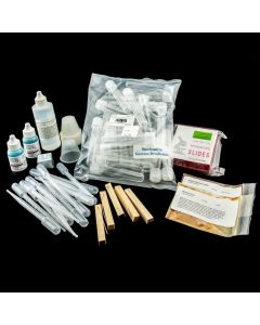 Microorganisms in the Soil