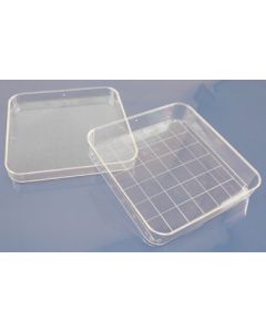 Petri Dish,Gridded Sqrs. Pk/10. 7 X 3.5 X 3.5\".