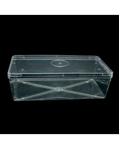 Contour Model Box and Lid