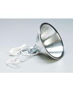Lamp - Light Source