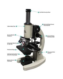 Microscope, Student, 600x