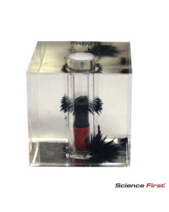 Magnetic Field Viewer 3D.
