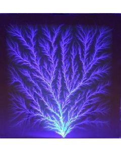 Lichtenberg Figure, 4 x 4 x 3/4".