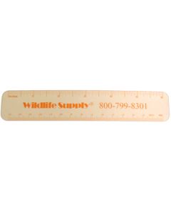 Plastic Rulers Pk Of 12