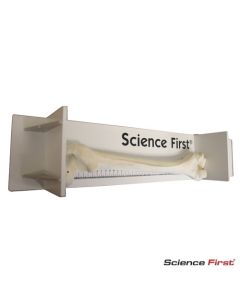 Osteometric Board *Oversize*