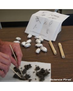 Owl Pellet Kit, Classroom pack of 15 Pellets.