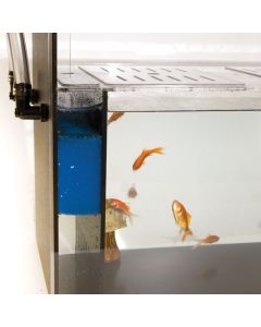 Science First Classroom Aquaponics Bundle