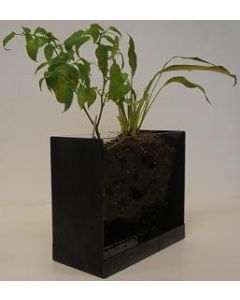 Root Tank, 10"X8"X4".