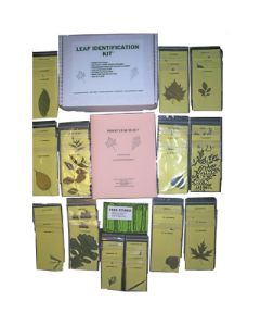 Leaf Identification Kit, Incl 8 Activities