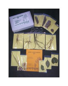 How A Tree Grows Kit.