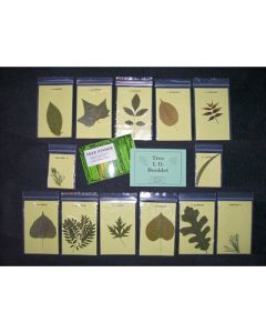 Tree Identification Kit, W/61-pg Tree Finder Book
