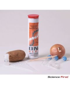 Extracting Fruit/Vegetable DNA