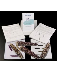 Investigating Genetics Kit