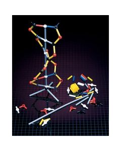 Dna Model Kit (12 Packets).