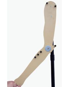 Arm Model