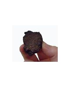 Meteroite, Stony, Raw.