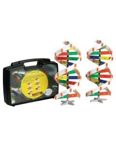 DNA Molecule Set