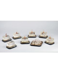 Bacteriophage, Set of 8 Models